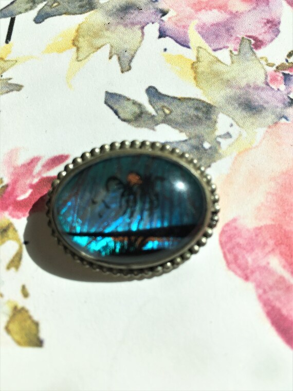 Vintage Blue Morpho Butterfly Wing Brooch Pin, Tr… - image 4