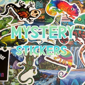 Mystery Laptop Stickers