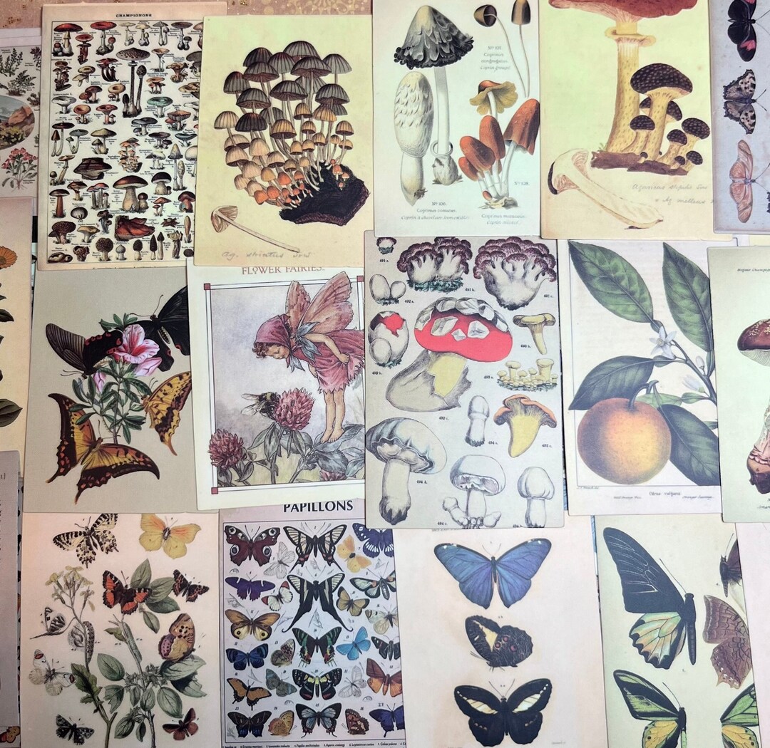Botany and Bugs Laptop Stickers - Etsy