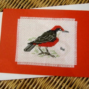 Cartão da fauna australiana bordado à mão - Crimson Chat. Cartão de cor vermelha com envelope branco e inserção de papel branco.