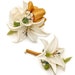 see more listings in the Corsage/Boutonniere Sets section