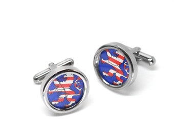 Cufflinks // Coat of arms HESSEN // stainless steel // wedding gift // local patriot