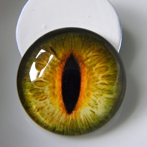 Ojos de cristal, ojos verdes, ojos de gato, ojos de reptil, ojos de gato verde, ojos realistas, ojos de rana, ojos de taxidermia. Solo tamaño de 25 mm. imagen 1