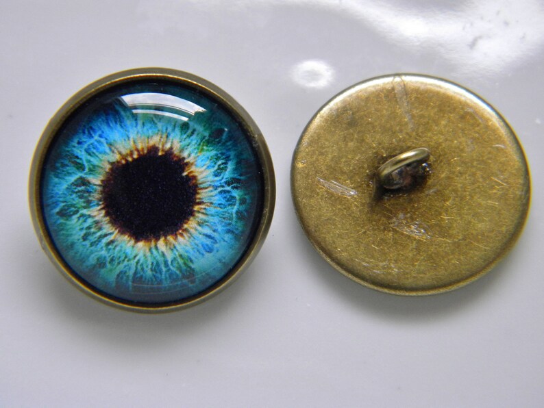 Glass Eyes Blue Eyes Sew on Eyes Button Eyes Loop Back Etsy
