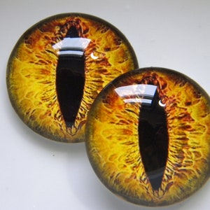 Könnte beinhalten: Zwei gelbe und orangefarbene Glasaugen mit schwarzen Pupillen. Die Augen haben ein realistisches, detailliertes Design.