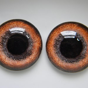 Glass Eyes, dog eyes, brown dog eyes, glass dog eyes, doll eyes, brown eyes, sculpture eyes, animal eyes.  One Pair-Choose size from menu