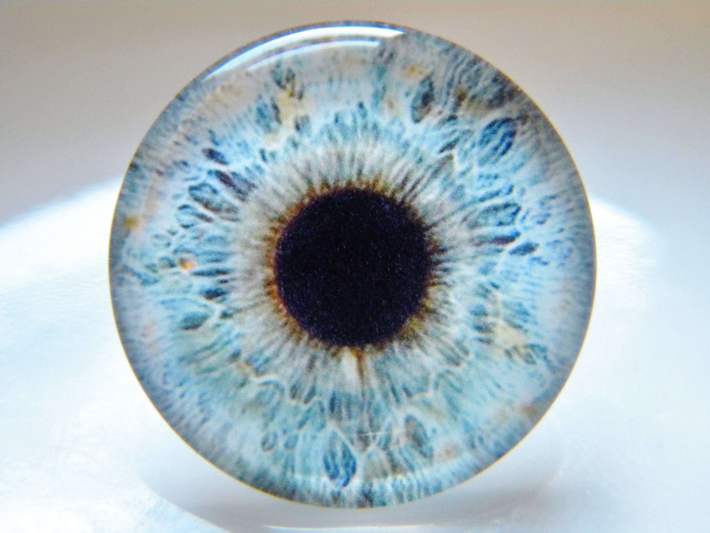 1" Blue Human Doll Eyes Realistic Glass Taxidermy Eyeballs 25mm 