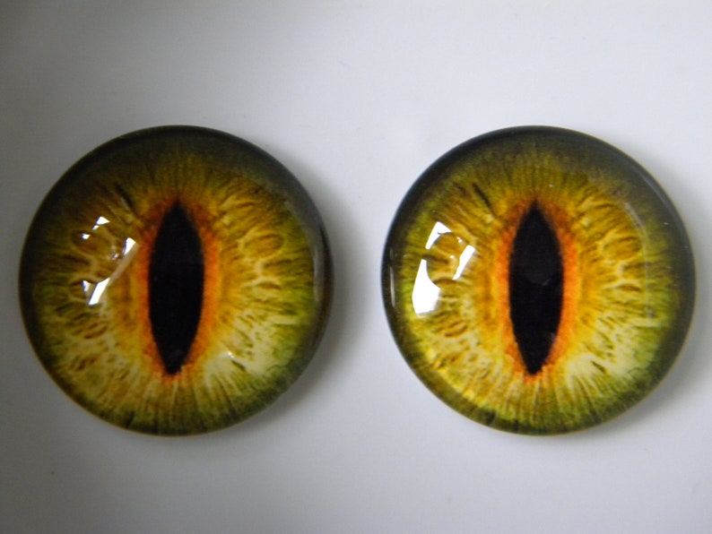 Ojos de cristal, ojos verdes, ojos de gato, ojos de reptil, ojos de gato verde, ojos realistas, ojos de rana, ojos de taxidermia. Solo tamaño de 25 mm. imagen 3