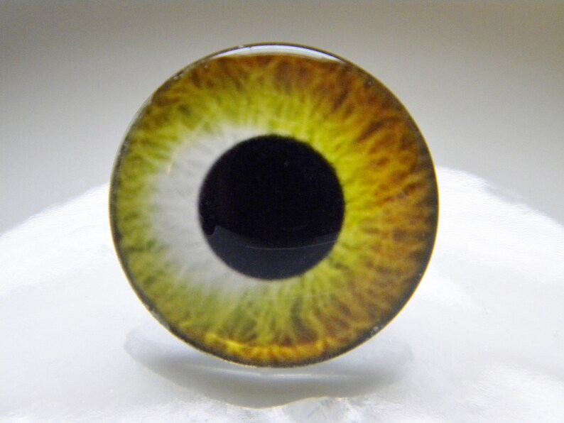 Glass Eyes Gold Eyes Doll Eyes Golden Doll Eyes Gold Doll Etsy