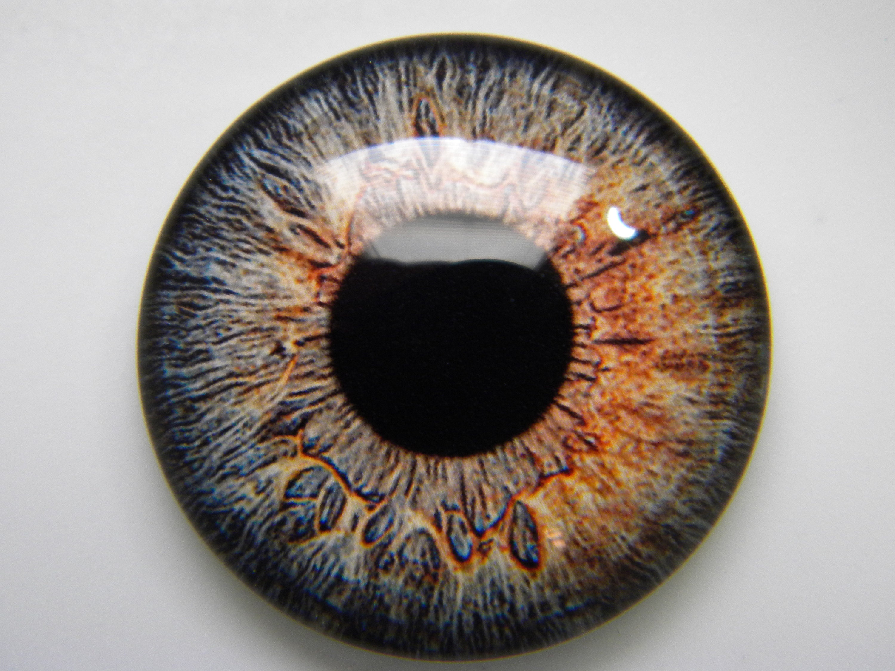 Dark Brown Human Glass Eyes – Handmade Glass Eyes