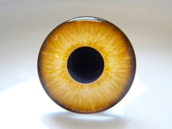 10mm Yellow Owl Bird Animal Glass Eyes for Jewelry Art Dolls Sculptures Crafts