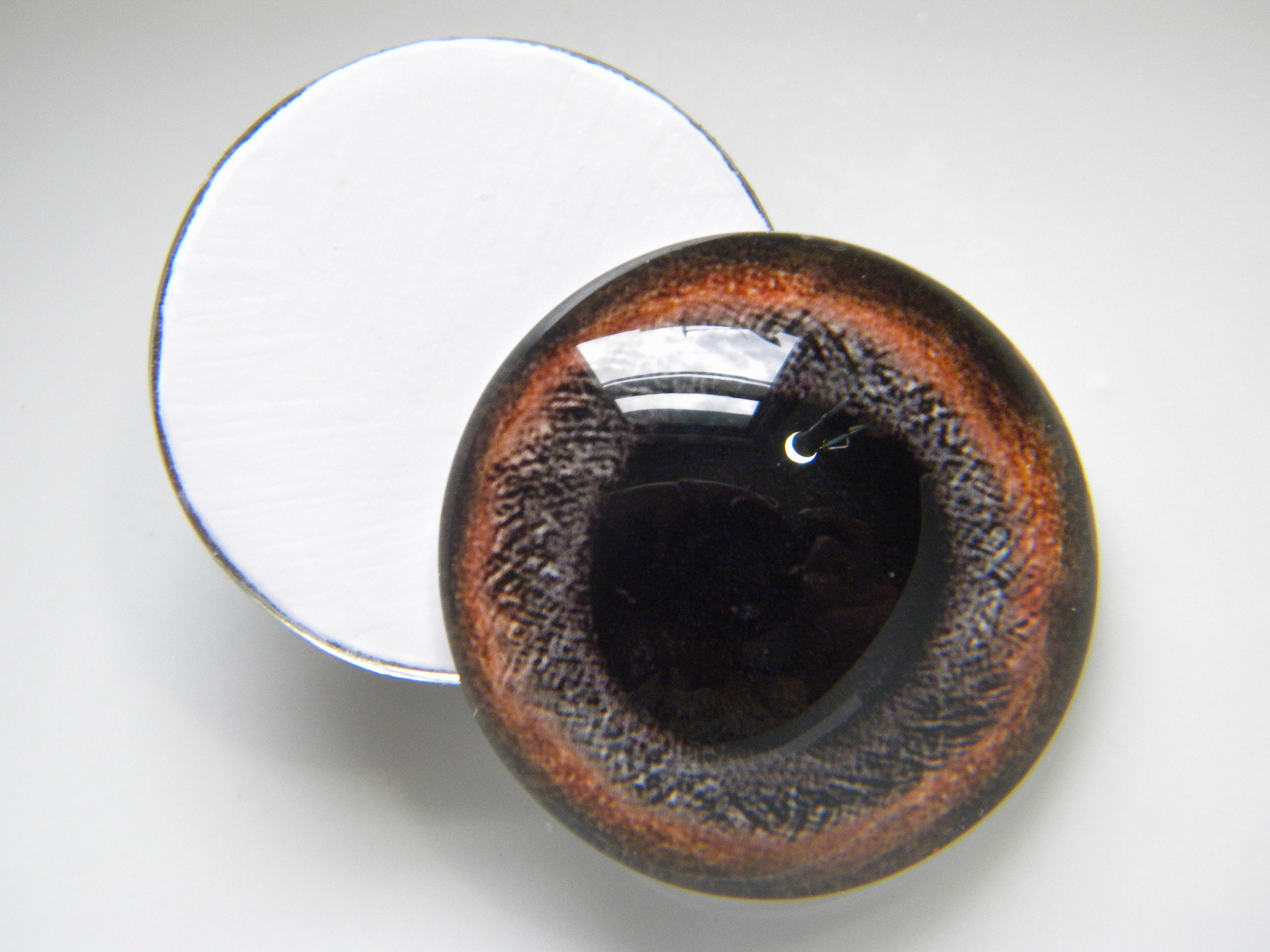 Glass Eyes Dog Eyes Dark Brown Dog Eyes Glass Dog Eyes - Etsy