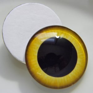 May include: A pair of yellow and brown glass eyes with black pupils. The eyes are round and have a glossy finish. They are designed for use in crafts and doll making.