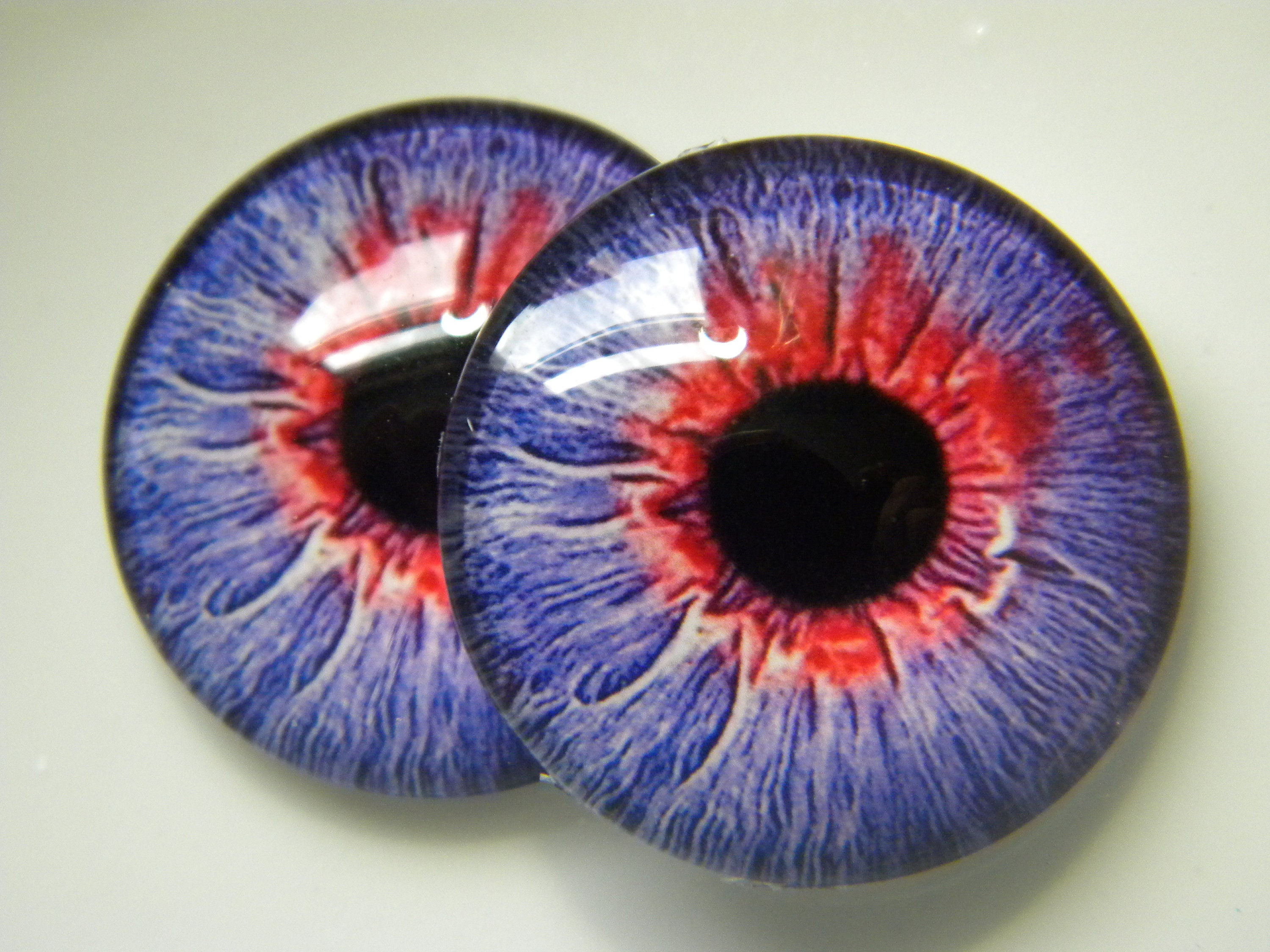 Violet Eyes Iris