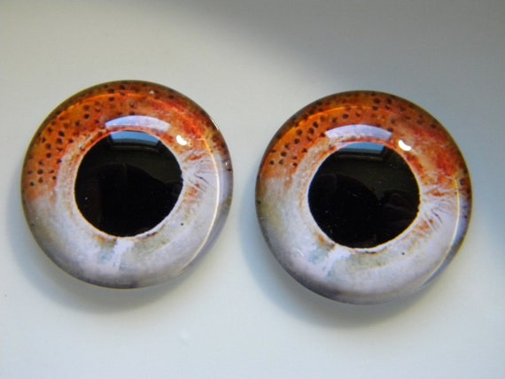 Glass Eyes, Fish Eyes, Fishing Lure Eyes, Reptile Eyes, Trout Eyes