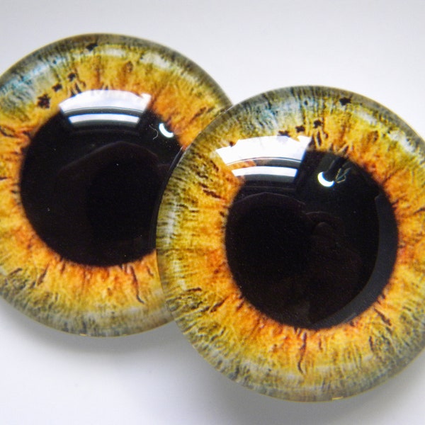 Glass Eyes, large pupil eyes, golden eyes, doll eyes, gold doll eyes, cabochon eyes, owl eyes.  Please choose size from drop-down menu.