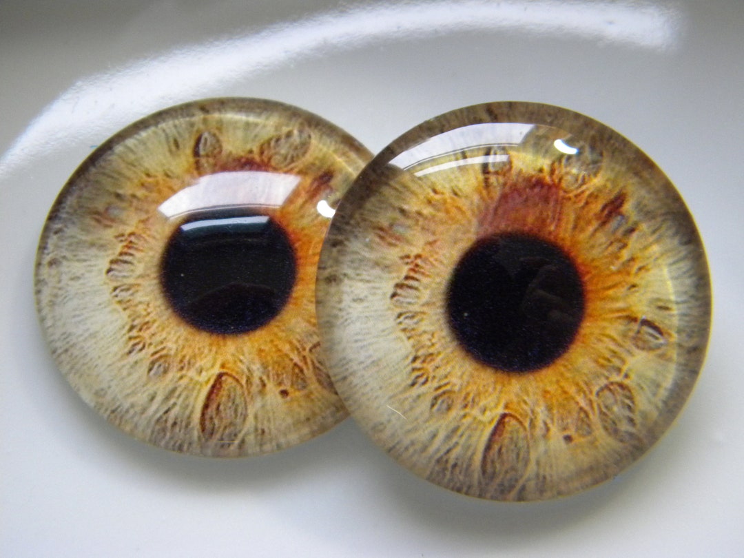 Glass Eyes, Brown Eyes, Human Eyes, Doll Eyes, Cabochon Doll Eyes