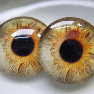May include: Two realistic glass eyes with brown irises and black pupils. The eyes have a light brown and beige outer ring with a textured pattern.