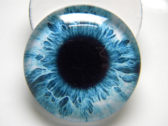blue doll eyes