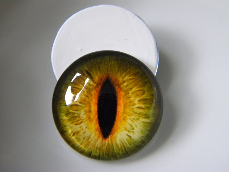 Ojos de cristal, ojos verdes, ojos de gato, ojos de reptil, ojos de gato verde, ojos realistas, ojos de rana, ojos de taxidermia. Solo tamaño de 25 mm. imagen 1