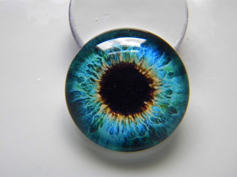 Glass Eyes Blue Eyes Sew on Eyes Button Eyes Loop Back Etsy
