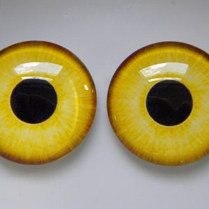 May include: Two round, glass eye cabochons with a yellow iris and a black pupil. The iris has a textured appearance with darker yellow and brown tones. The outer edge is a darker brown color.