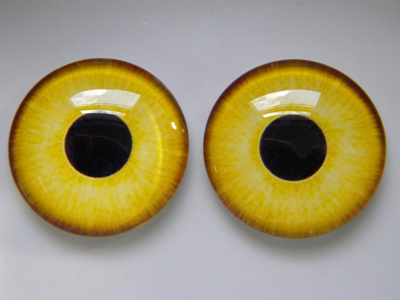 May include: Two round, glass eye cabochons with a yellow iris and a black pupil. The iris has a textured appearance with darker yellow and brown tones. The outer edge is a darker brown color.