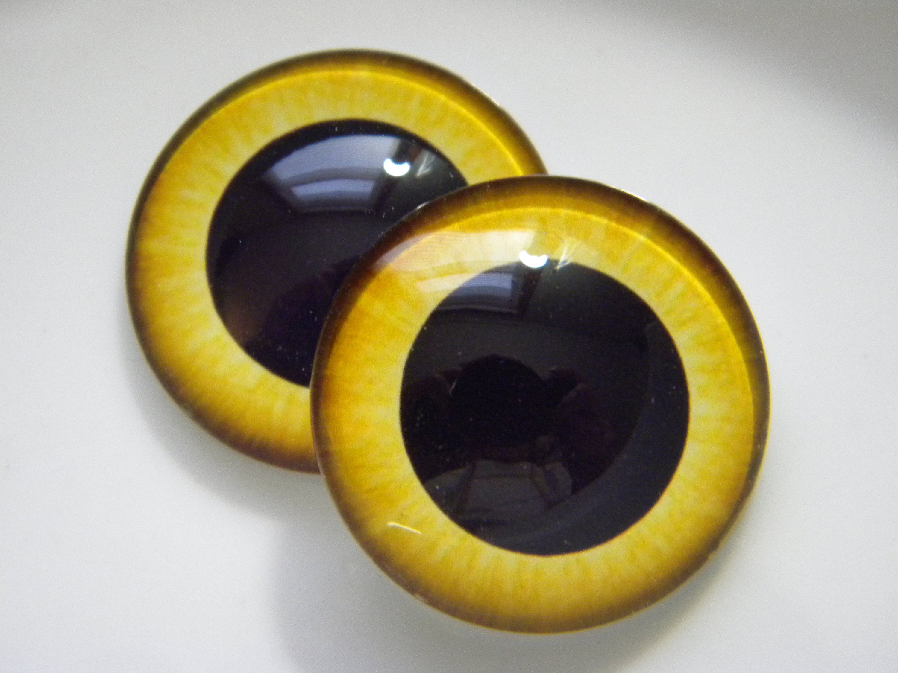Glass eyes, owl eyes, large pupil owl eyes, yellow eyes, yellow owl eyes, taxidermy eyes, doll eyes.