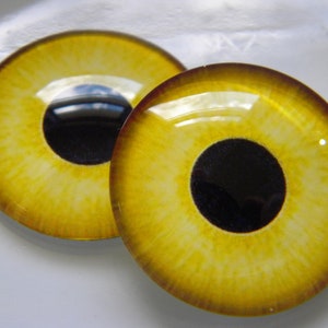 May include: Two round, glass eye cabochons with a yellow iris and a black pupil. The iris has a textured appearance with darker yellow and brown tones around the edges. The glossy surface reflects light.