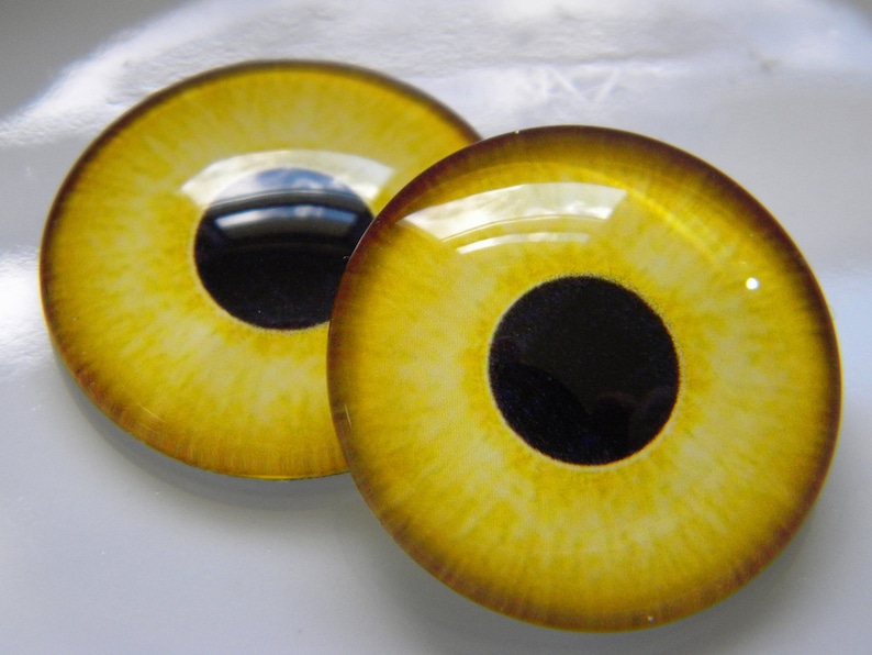 May include: Two round, glass eye cabochons with a yellow iris and a black pupil. The iris has a textured appearance with darker yellow and brown tones around the edges. The glossy surface reflects light.