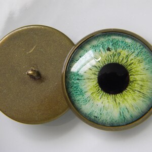 May include: A pair of round, brass-colored buttons with a green and blue eye design. The button on the right has a black pupil and a white iris with green and blue veins.