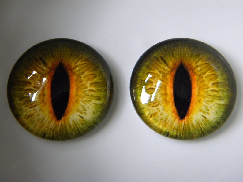 Ojos de cristal, ojos verdes, ojos de gato, ojos de reptil, ojos de gato verde, ojos realistas, ojos de rana, ojos de taxidermia. Solo tamaño de 25 mm. imagen 5