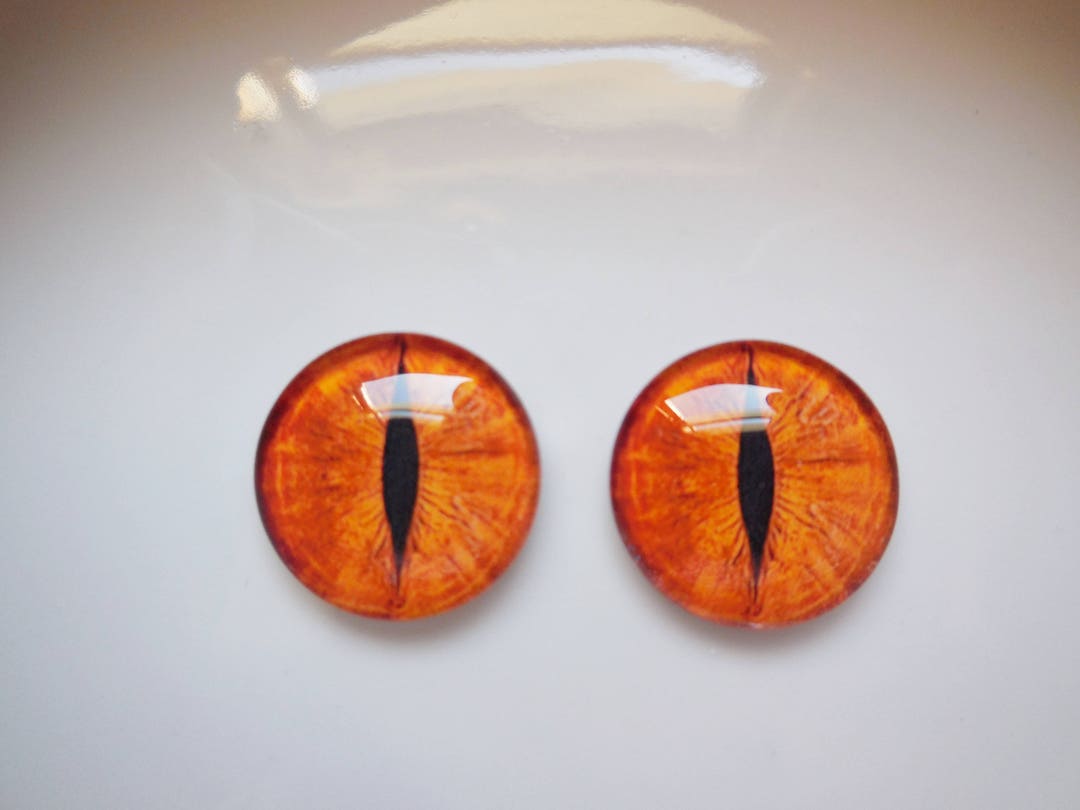 Glass Eyes, Bronze Colored Eyes, Cat Eyes, Animal Eyes, Creature Eyes