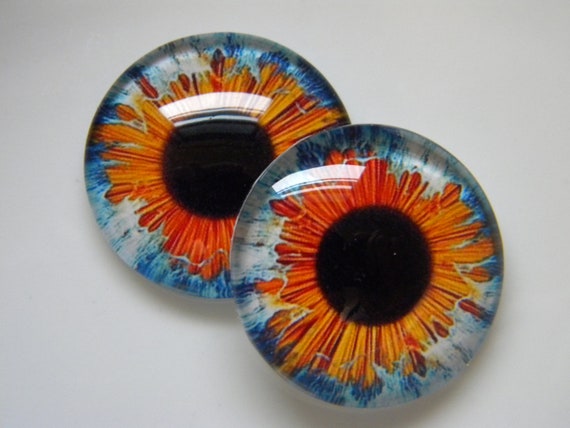 eyes for sculptures bird eyes Glass eyes taxidermy eyes blue eyes small blue eyes One pair 12mm glass eyes. doll eyes blue doll eyes
