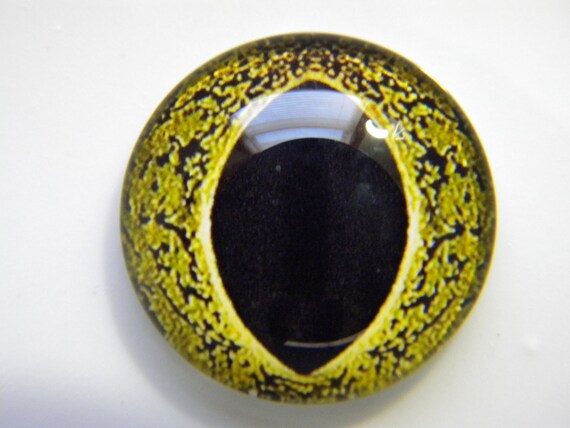 Glass Eyes Frog Eyes Fish Eyes Reptile Eyes Fishing Lure Etsy