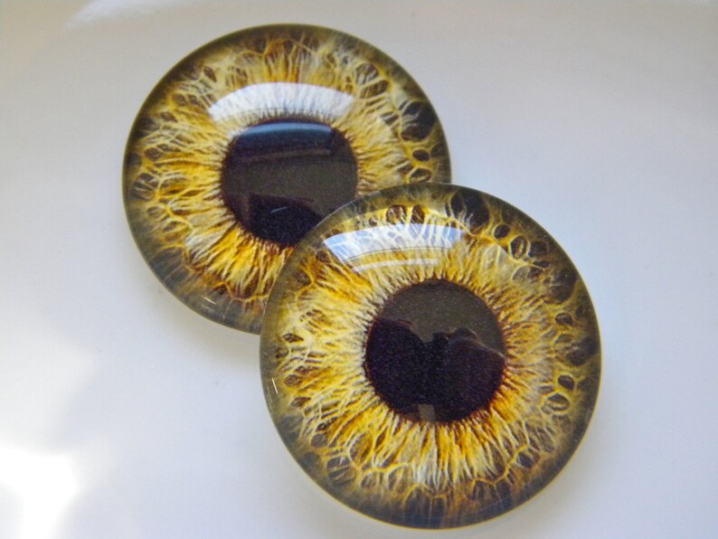 Glass Eyes Gold Eyes Doll Eyes Taxidermy Eyes Realistic Etsy