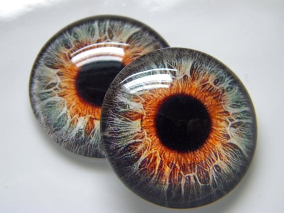 Glass Eyes, Brown Eyes, Human Eyes, Doll Eyes, Realistic Eyes, Animal Eyes,  Taxidermy Eyes, Craft Eyes. One Pair Choose Size From Menu. 