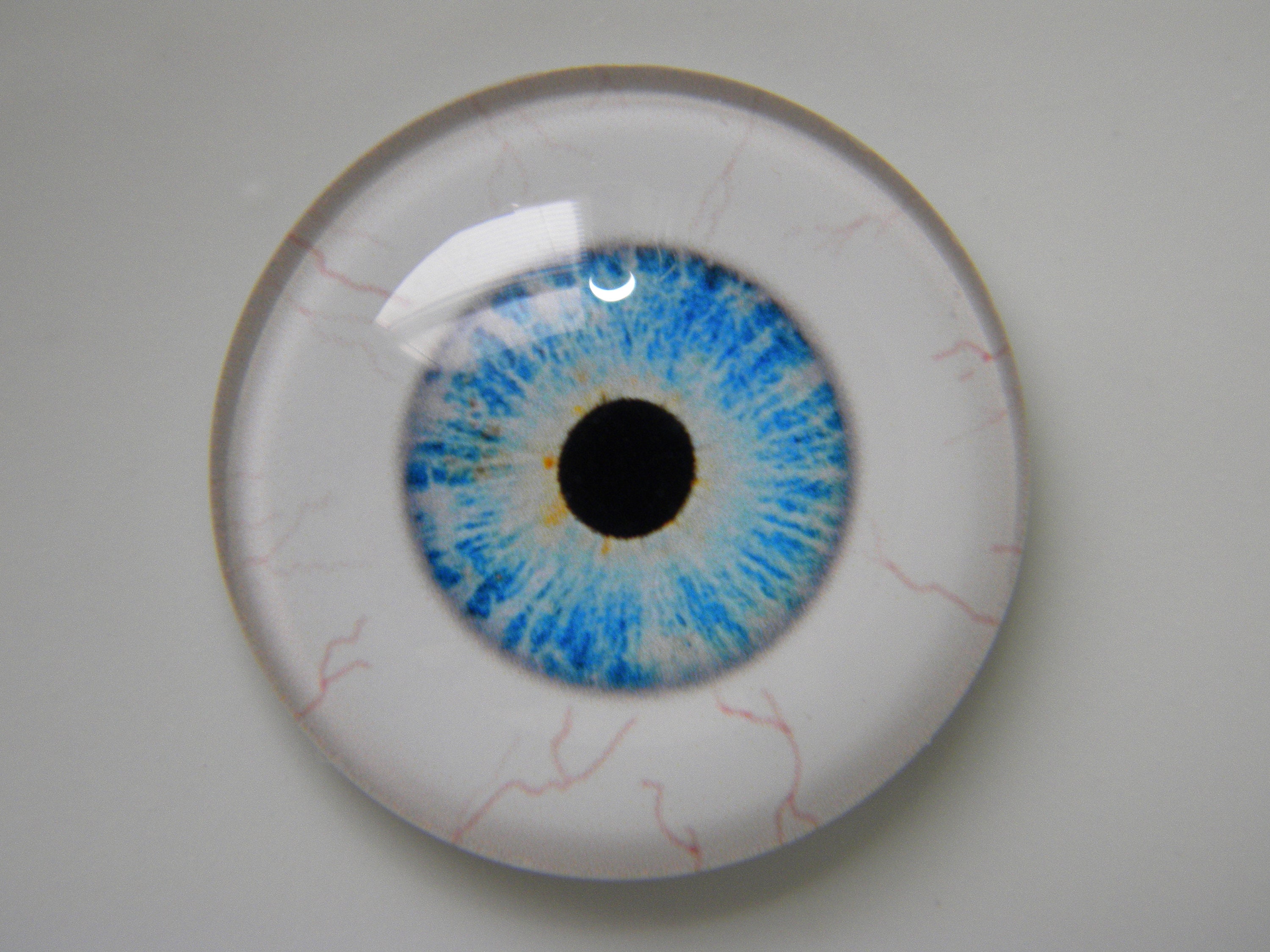 Glass Eyes Self adhesive Glass Cabochon Eyes Doll Eyes For - Temu