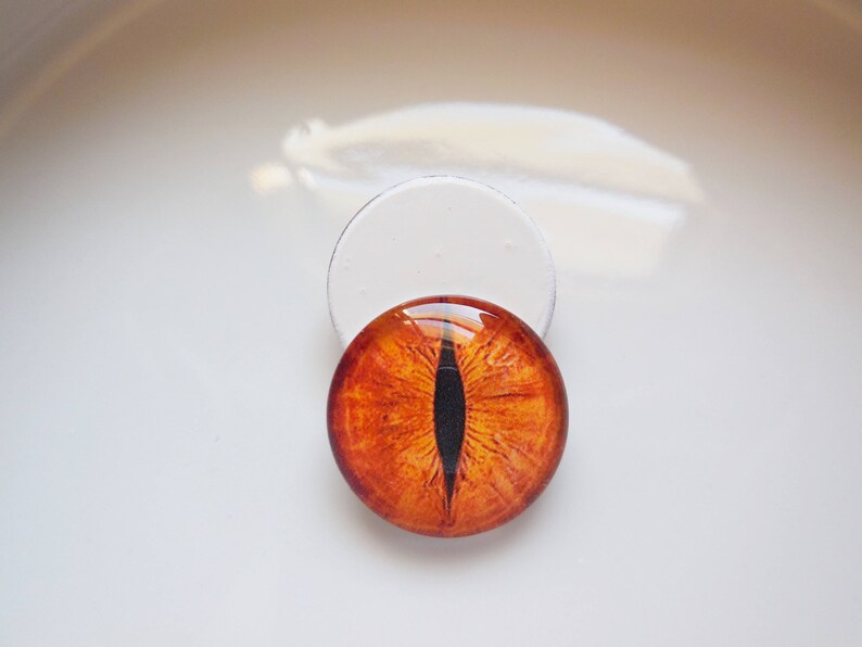 Glass Eyes Bronze Colored Eyes Cat Eyes Animal Eyes Etsy