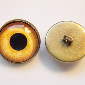 Op de afbeelding: Een paar bruine glazen ogen met een gouden metalen rand en een lus aan de achterkant om te naaien. De ogen zijn perfect om een realistische touch aan je knutselprojecten te geven.