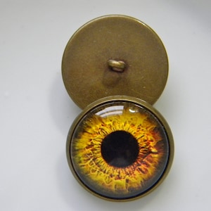 May include: Two antique brass buttons. One button features a detailed eye design with yellow, orange, and black colors. The other button is a plain brass disc with a loop for sewing.