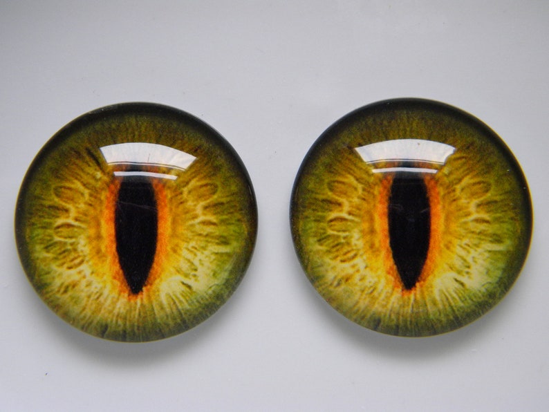 Ojos de cristal, ojos verdes, ojos de gato, ojos de reptil, ojos de gato verde, ojos realistas, ojos de rana, ojos de taxidermia. Solo tamaño de 25 mm. imagen 2