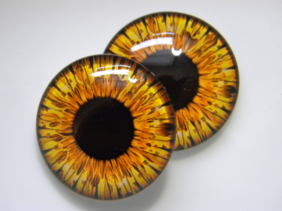 Glass Eyes, Fantasy Eyes, Glass Doll Eyes, Golden Doll Eyes, Gold Colored Eyes, Colorful Eyes