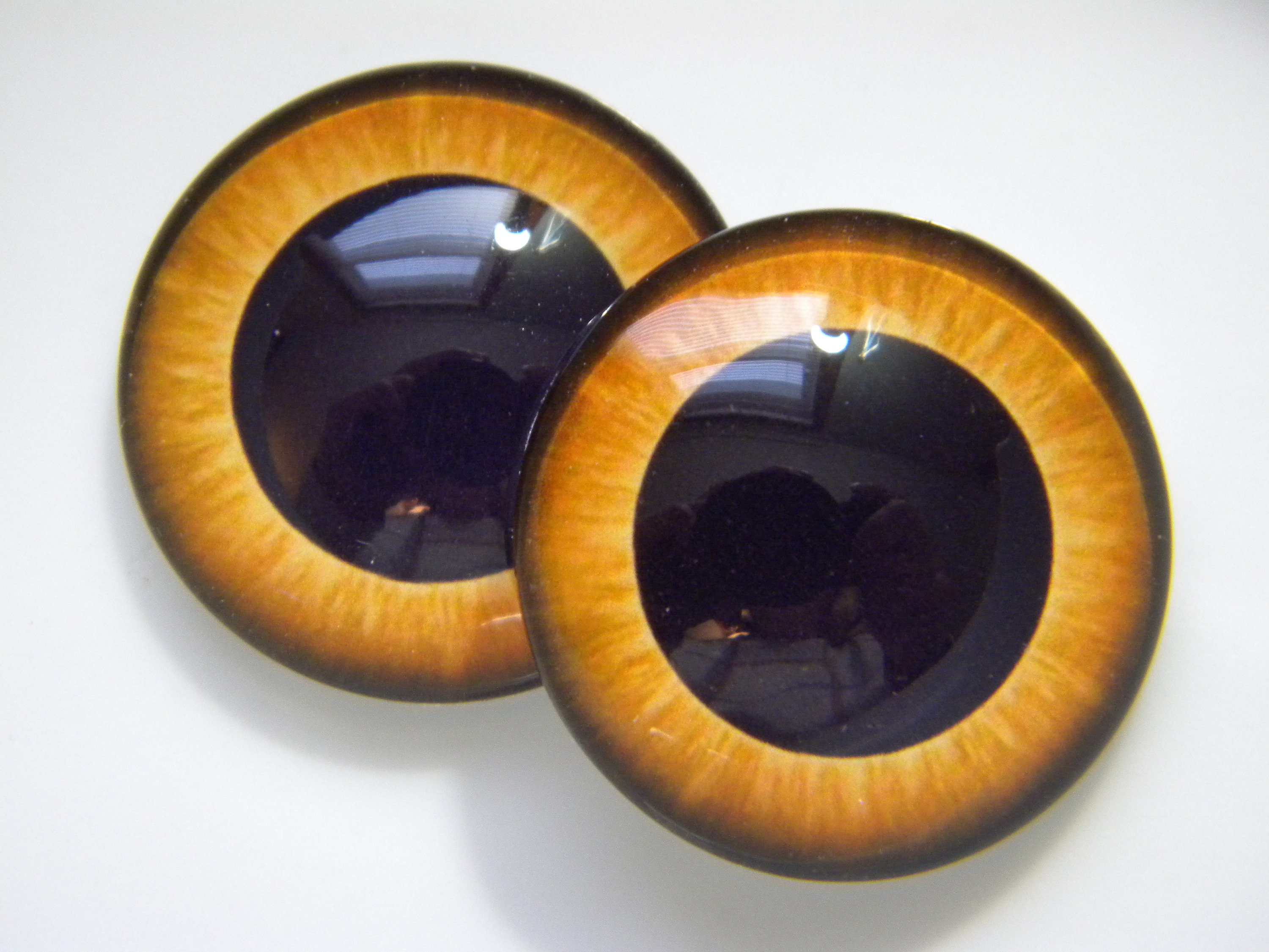 Glass eyes, owl eyes, large pupil owl eyes, golden eyes, golden owl eyes, taxidermy eyes, doll eyes.
