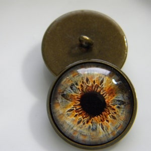 May include: A pair of round, bronze-colored buttons with a detailed eye design. The eye is brown with a black pupil and a white sclera. The buttons are about 1 inch in diameter.