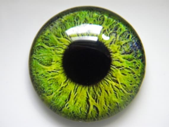 Olive Green Transparent Glass Teddy Bear Eyes