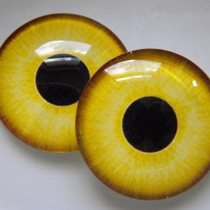 May include: Two round, glass eye cabochons with a yellow iris and a black pupil. The iris has a textured appearance with a gradient from yellow to a darker brown around the edges. The eyes are set against a white background.