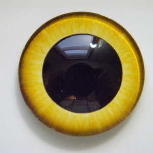 May include: A round, yellow and black glass eye with a black pupil. The eye is designed for use in crafts and doll making.