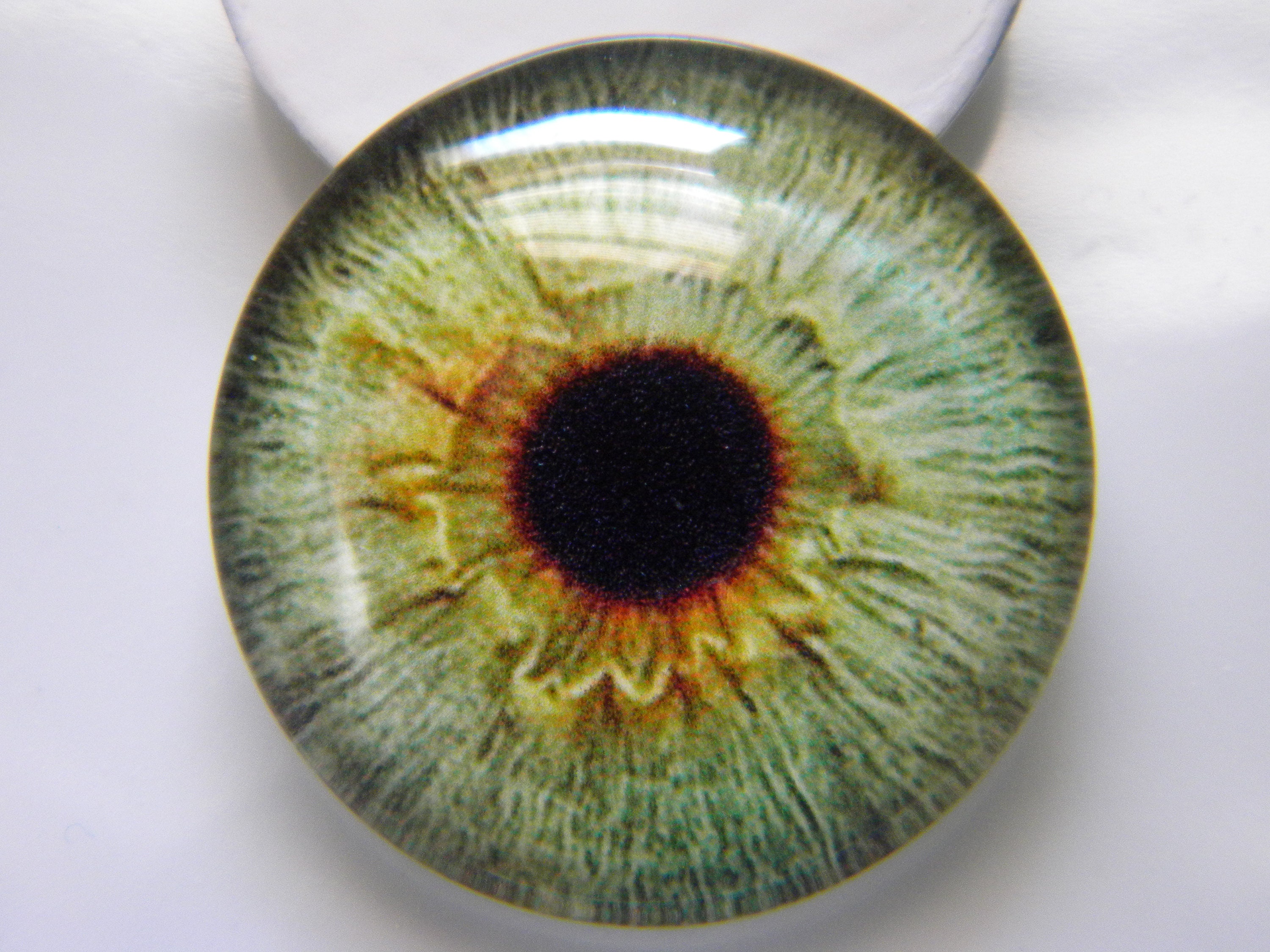 Giant Glass Eye 40mm Dragon Eye, Big Eyes, Big Dragon Eyes 