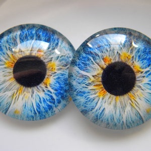 Glass Eyes, blue eyes, doll eyes, blue doll eyes, human eyes, craft eyes, realistic eyes.  One Pair 25 mm glass eye cabochons.